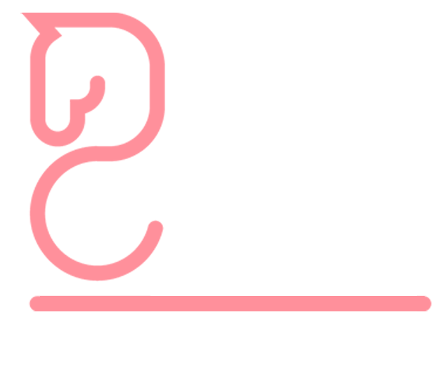 Pupilochess